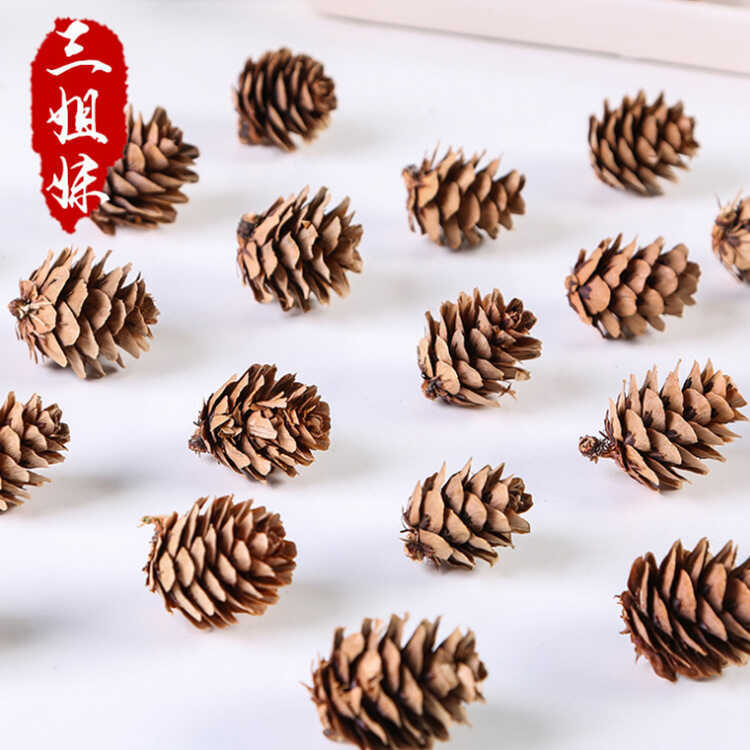 Big Pine Flower 1.0kg Christmas Decoration Hanging Ornament, North China Larch DIY Craft, Pine Cone - Image 3