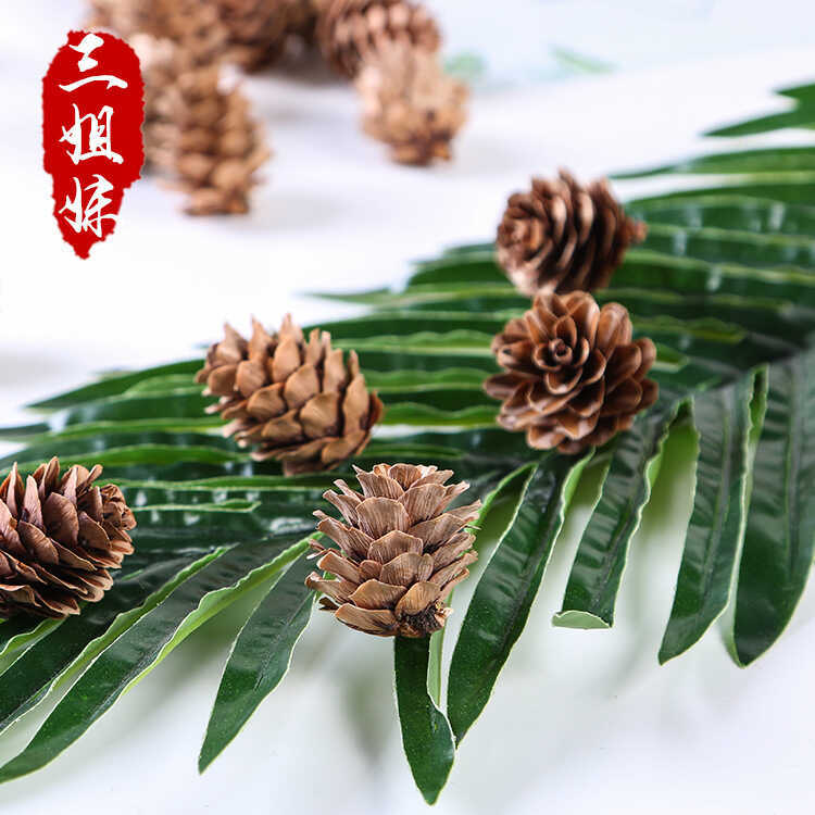 Big Pine Flower 1.0kg Christmas Decoration Hanging Ornament, North China Larch DIY Craft, Pine Cone - Image 2