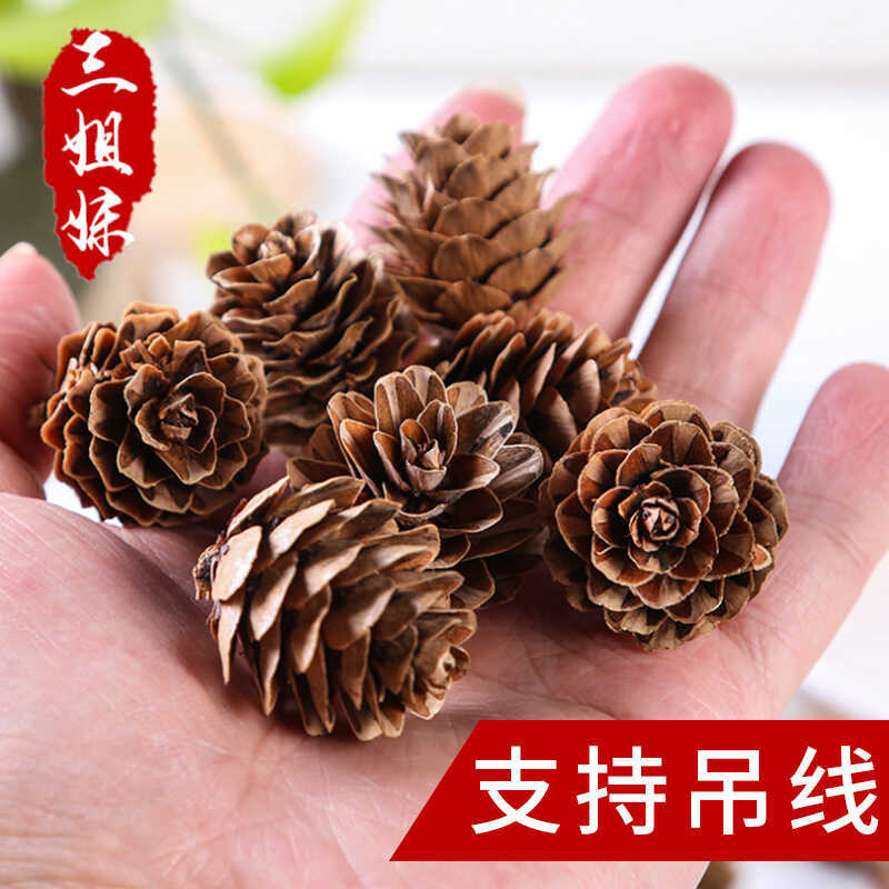Big Pine Flower 1.0kg Christmas Decoration Hanging Ornament, North China Larch DIY Craft, Pine Cone