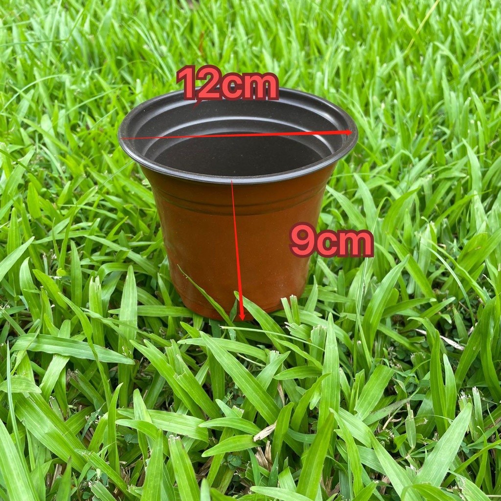 Terracota Soft Pots Garden)s - Image 3