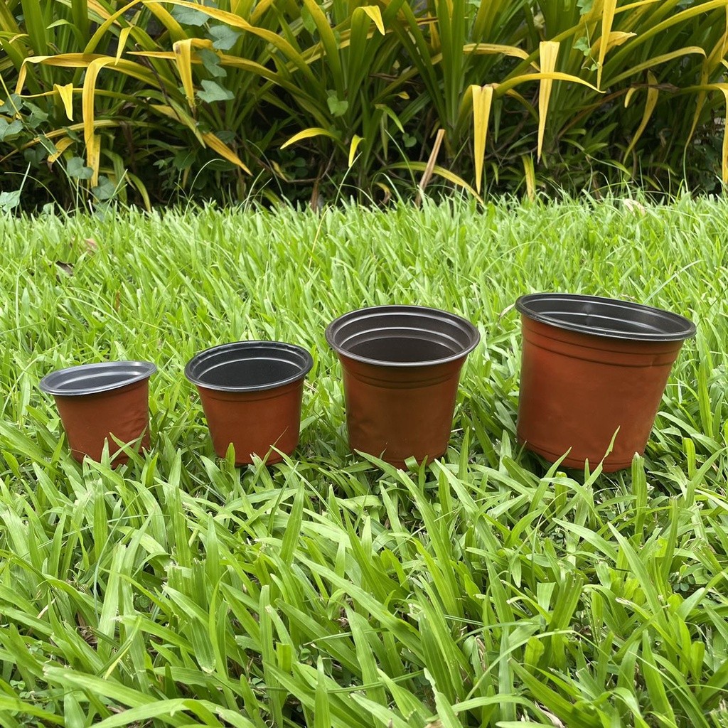 Terracota Soft Pots Garden)s