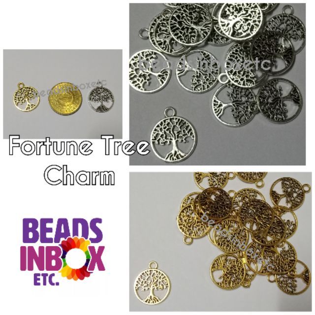 TT%Fortun re - Image 2