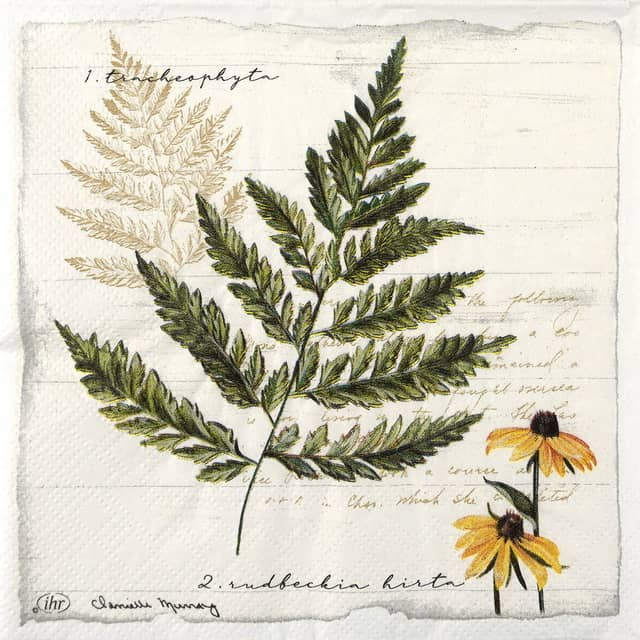 Decorative Napkin / Napkin – Decoupage (33cm* 33cm)