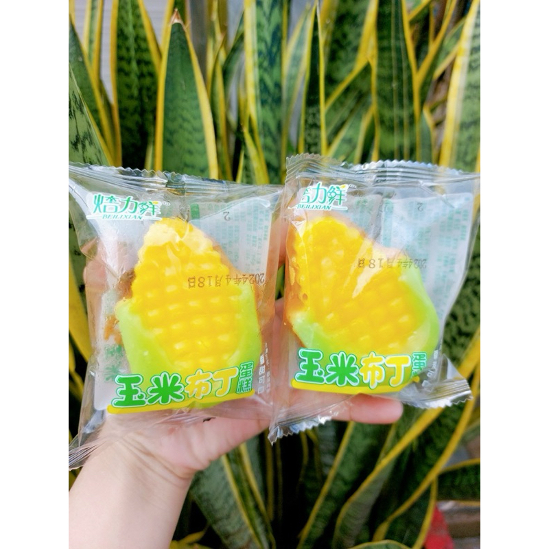 Super Cute Pudding Sponge - Pieces - Manila Store